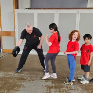 Little Dragons Classes